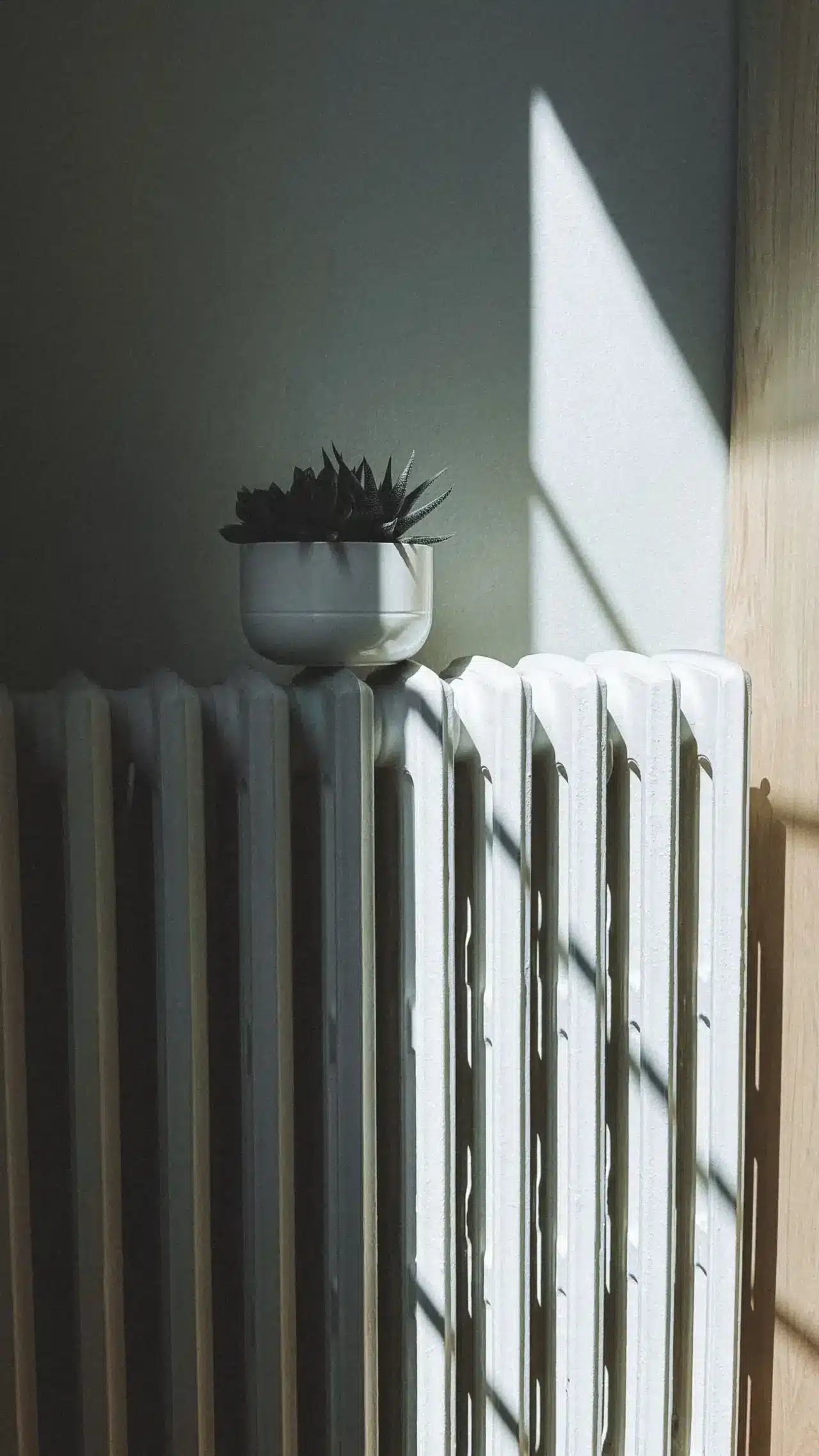 Termosifone installato su una parete di casa